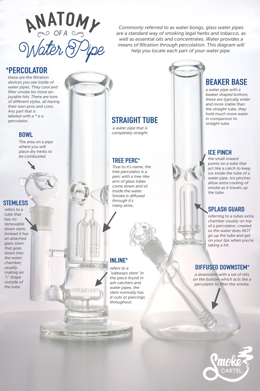 Components of a Bong - About That Life